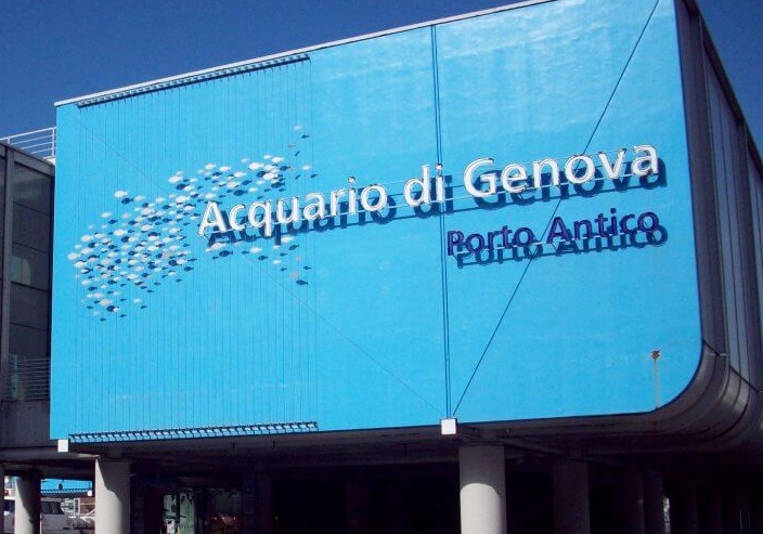avuiqraio