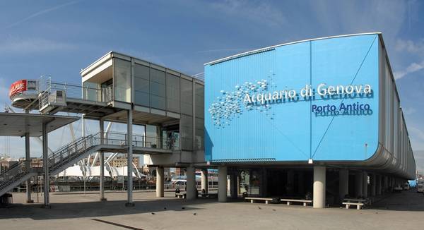 acquario